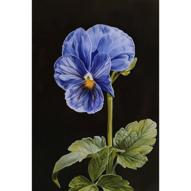 Purple Flower Canvas on Canvas